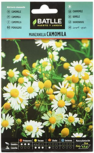 Graines aromatiques de Batlle - Camomille Camomila (1g)
