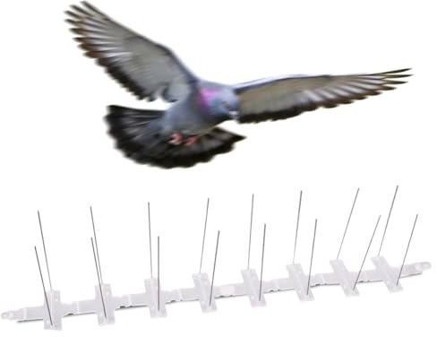Biotop B2430 Pinchos Disuasorios para Pájaros y Demás Animales Voladores, Blanco, 2 metros