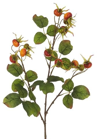 FloristryWarehouse Espray artificial de otoño de rosa mosqueta y follaje de seda sintética, 85 cm