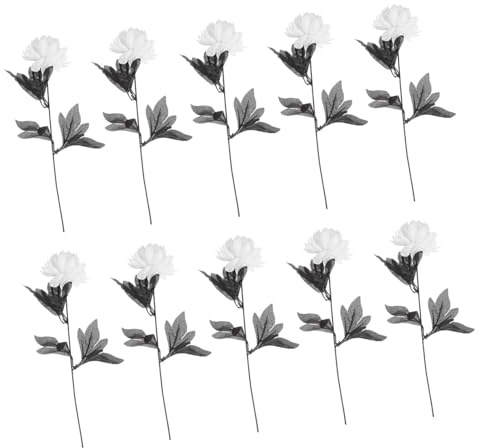 Cabilock 10 Pièces Noir Fleur Artificielle Faux Fleurs Choisir Fausses Fleurs Plantes Noir Halloween Bouquet Halloween Bouquet De Mariée Soie Dahlia Bouquet Plantes Artificielles Tige De