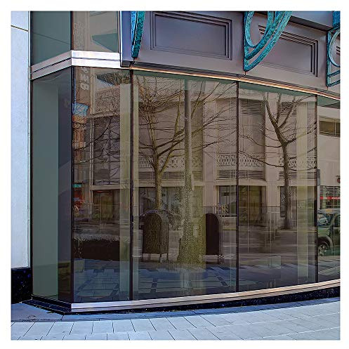BDF PRBR Window Film Premium Color High Heat Control and Daytime Privacy Bronze Outside, Silver Inside - 24in X 24ft