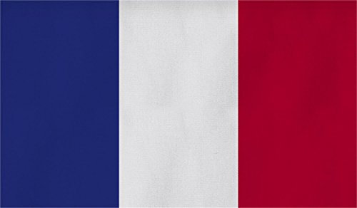 Flagge Großformat 250 x 150 cm wetterfest Fahne in 18 verschiedenen Ausführungen mit ösen Frankreich 150 x 250 cm