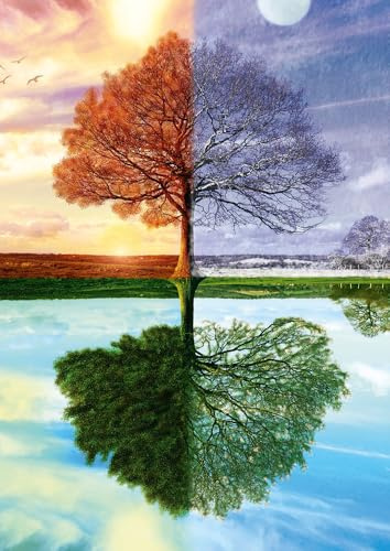 Schmidt Spiele 58223 Puzzle Jahreszeiten Baum, 500 Teile Puzzle