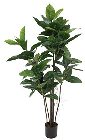 EUROPALMS Gummibaum, Kunstpflanze, 120cm