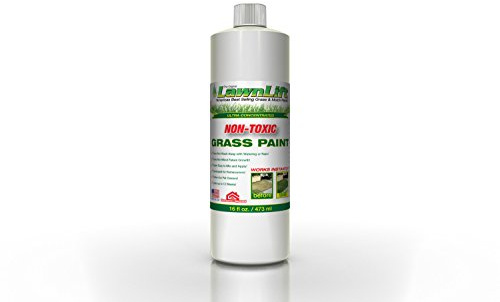 LawnLift - Peinture pour gazon ultra concentrée - 473 ml rend 5.2 L et couvre jusqu'à 37 m² de gazon jaunissant