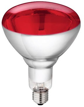 Philips Infrarot-Lampe für Tieraufzucht und industrielle Anwendung 250 Watt GH-Pack 20 Stück