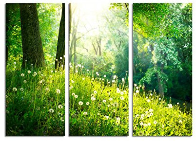 Paul Sinus Art 130x90cm – Keilrahmenbild Frühling Natur wunderschöne Landschaft Pusteblumen 3teiliges Wandbild auf Leinwand und Keilrahmen - Fotobild Kunstdruck Artprint