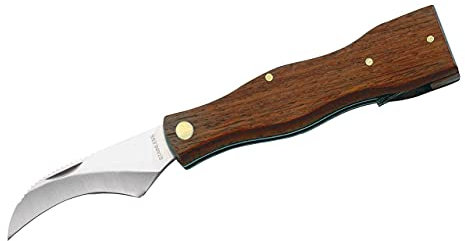 Herbertz Couteau à Champignons Inoxydable avec Manche en Bois et Brosse Gris Taille M