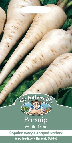 Mr Fothergill's 24356 Vegetable Seeds, Parsnip White Gem