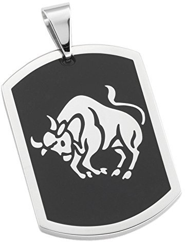 DOOSTI Sternzeichenanhänger Stier/chirurgischer Edelstahl 316L / Höhe 3,5cm - mit Gratis Gravur