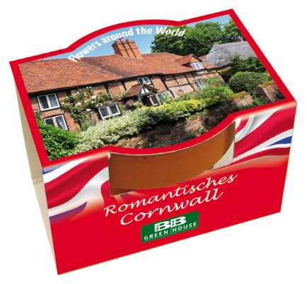 Bull & Bear Mini Pflanzset 'Romantisches Cornwall' Blumen Samen, Tontöpfchen mit Blumensamen und Pflanzsubstrat