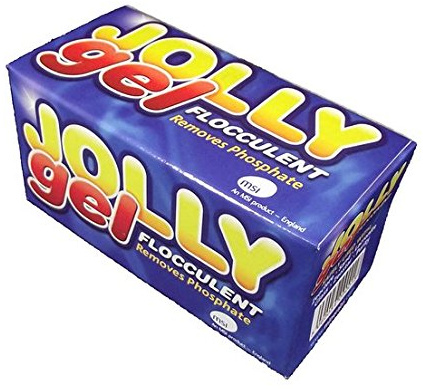 Jolly gelkuber pool klar