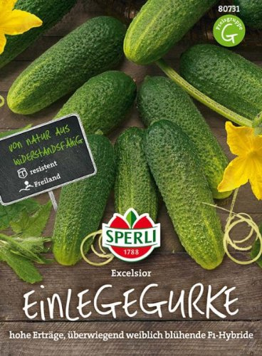 Gurke Excelsior, F1 Hybride