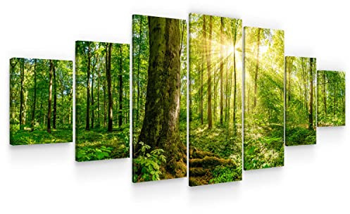 Startonight Leinwandbild xxl Sonnenstrahlen durch Grüne Zweige der Bäume - Leinwandbilder Moderne Kunst - Natur Wanddeko Kunstdrucke, Wandbilder 7 teile 100 x 240 cm, Tag Nacht Groß Bild