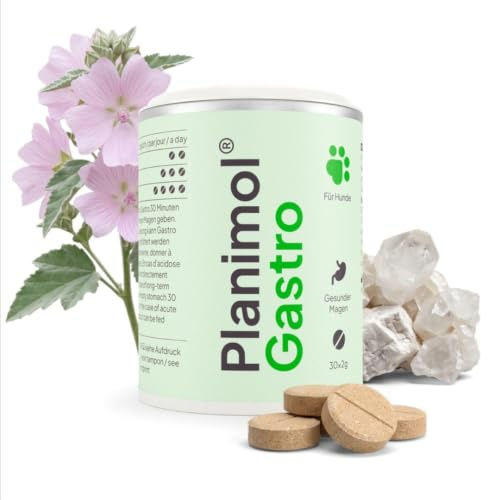PLANIMOL Gastro – Magentabletten für Hunde & Katzen – 100% natürlich | Bei Schmatzen & Grasfressen | Magentabletten | 100% natürlich | 60 Tabletten