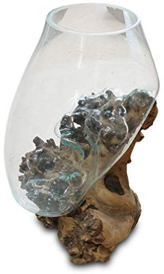 Tarro de cristal fundido sobre madera de raíz XL – Tarro de cristal sobre una raíz de madera de teca – Jarrón o maceta de 60 cm
