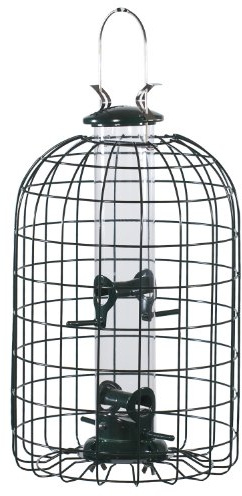 Audubon Squirrel Proof Caged Tube Feeder