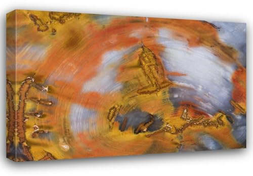 ArtDirect Nevada, Hubbard Basin Close-up of petrified wood 18x13 Gallery Wrapped Canvas Museum Art by Kirkland, Dennis