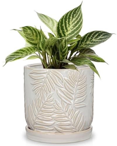 Arborus 14 cm Blumentopf Pflanzgefäße Keramik Blumentopf für Innen Außen