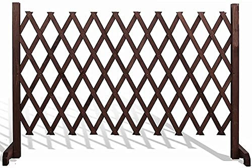 Clôture Jardin Palissade Jardin Balcon réglable jardin clôture de piquet clôture en bois pied en forme de T connexion de clou en cuivre décorer contre le mur GXBCS628(Color:Brown;Size:170x70c