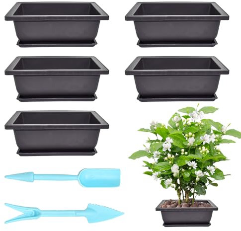 CAREDGO Bonsai Trainingstöpfe, 6 Stück Bonsai Schale mit 6 Stück Untersetzer Bonsai Topf Kunststoff Bonsai Schale 16.5cm *12cm *6cm Pflanzschale Eckig Klein Plastik Blumenpot zum Deko, mit 2 Werkzeug