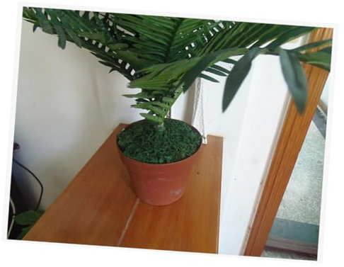 Yardenfun 3packungen Getrocknetes Moos Für Terrassen-Dekoration Packung Geeignet Für Dioramen-Modelle Wohnzimmer Garten Hochzeits-Dekoration