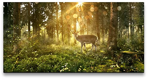 Paul Sinus Wandbild 120x60cm Mystischer Wald – Majestätischer Hirsch in Dämmerung, Fokus auf Natur und Ruhe.