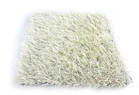 Genérico Alfombra de césped Artificial Blanca de 2,5 cm de Altura, para Interior y Exterior, para Patio, terraza, balcón, paisajismo, fácil de Instalar.(2x2m)
