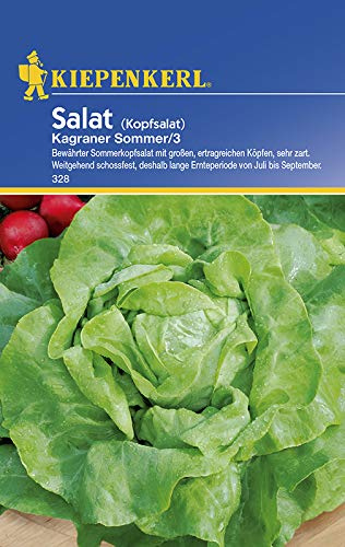 Kiepenkerl 328 Kopfsalat Kagraner Sommer 3 (Kopfsalatsamen)