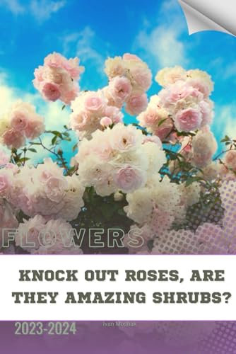 Knock Out Roses, Are They Amazing Shrubs?: Become flowers expert