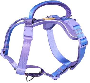 DF Freedom No Pull Martingale Dog Harness, Gentle Control for No Choking, Front Clip Harness with Reflective, Adjustable & Padded Handle for Easy Walking & Training, Rainbow, 1, Chest 22.4-30.4