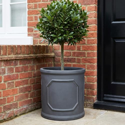 IDEALIST Plant Pots 30cm Plant Pot, Faux Lead Reinforced Stone Planter, 15L | 1 Pack, D30 H30 cm, Inner Top D26 cm, Medium Size, Grey, Frostproof, Drainage Holes, Lightweight, Chelsea Cylinder Planter