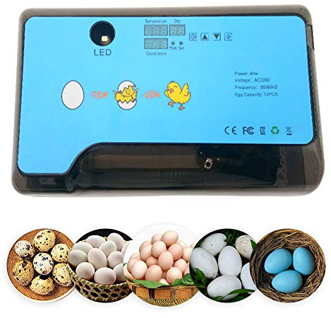 Smart Mini Egg Hatching 12 Eier Inkubator Automatische Temperaturregelung Hatcher für Hühner, Enten, Vögel