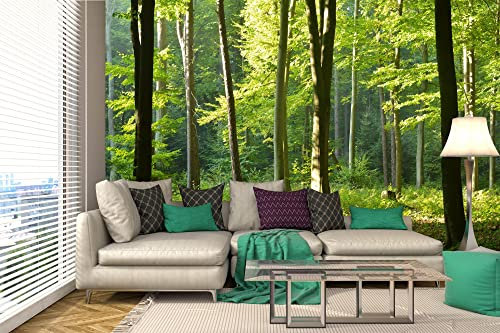 DIMEX LINE Non-Woven Photo Wallpaper Morning in The Forest 375 x 250 cm - Non-Woven Wallpaper, Wall Mural, Wall Pictures - Wallpaper for Living Room, Bedroom, Office, Kitchen