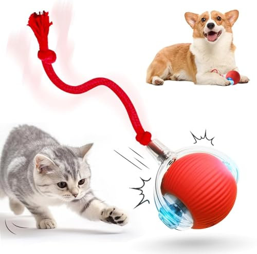 HOIDOKLY 2025 Neu Interaktives Katzenballspielzeug, Haustiere Spielzeug, Hundeballspielzeug mit USB Aufladbar, DREI Arbeitsmodi, 360° drehbar Smart Ball für Katzen und Hunde (Rot)