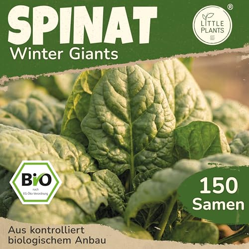 Little Plants BIO Spinat Samen 150 Spinatsamen Winterspinat Winterriese Gemüsesamen Samenfest für Gemüsegarten Gemüse Samen Hochbeet für Küche, Balkon und Garten