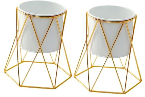 UPKOCH 2 Piezas Maceta de Metal con Soporte Estilo Plantas Suculentas y Cactus Decoración de Oficina y Jardín y Plantas Pequeñas