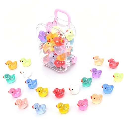 PLUSHCEWT 40 minipatos luminosos de resina con estuche de transporte, coloridos patos de animales, figuras pequeñas de patos en miniatura para decoración de acuario, jardín en miniatura, casa de