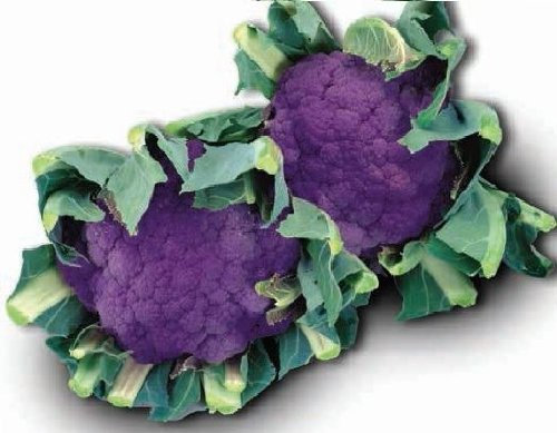 Just Seed - Vegetable - Cauliflower - Graffiti F1-10 Seeds