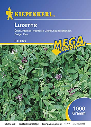 Kiepenkerl 615663 Luzerne 1 kg (Luzernensamen)