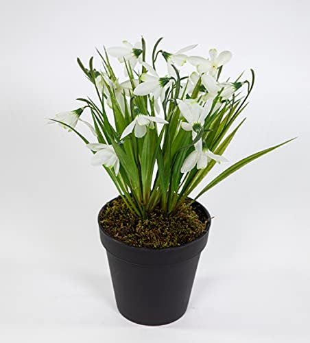 Seidenblumen Roß Schneeglöckchen 28cm weiß im Topf FT Galanthus Kunstblumen künstliche Blumen Pflanzen