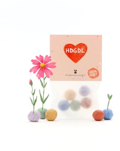 Nachhaltiges Freundschaftsgeschenk: 5 bunte Blumenmurmeln | Farbenfrohe Seedbombs mit Wildblumensaatgut | „HDGDL“-Herz für beste Freundin, Valentinstag & Liebesbotschaften | 100% ökologisch