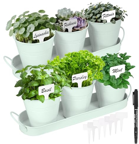 Wacloud Kräutergarten Set für Innen – 6 Metalltöpfe mit 2 Tabletts für Fensterbank & Küche – Stilvolle Pflanzgefäße für Kräuter, Sukkulenten & kleine Zimmerpflanzen (Mintgrün)
