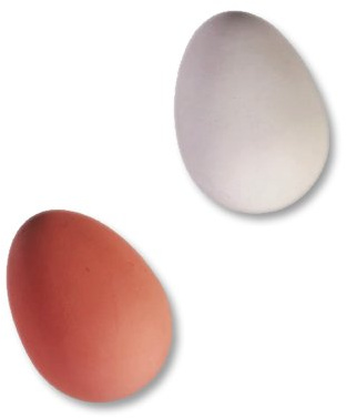 MIK Funshopping Uovo Flummi-EI Crazy Egg – per pazzi!