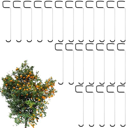 Écarteur de Branches d'Arbre - Système de Soutien et Écartement - Outil de Courbage Antidérapant Accessoires de Jardinage pour Contrôle Croissance Jeunes Plants Aménagement Vignoble Entretien