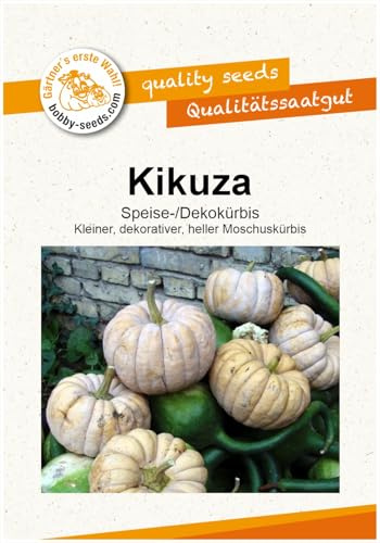 Kikuza Kürbissamen von Bobby-Seeds, Portion