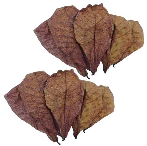 10 Pack Indian Almond Leaves for Betta Fish & Shrimp,betta fish accessories, betta fish tank,Natural Catappa Leaves for Water Treatment, Stress Reduction, and pH Lowering in Aquariums