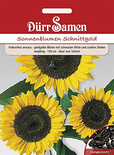 Dürr-Samen - Sonnenblume Schnittgold goldene Blüten und schwarze Mitte Saatgut