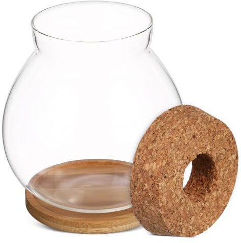 VANZACK Petit Aquarium Verre pour Poissons Betta Terrarium avec Coussin Bambou Décoration pour Bureau Et Plantes