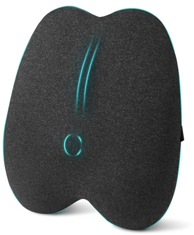 Havnxor Cojin Lumbar Coche Ergonómico, Almohada Lumbar Silla Oficina de Espuma Viscoelástica, Cojín Lumbar con Funda Lavable, Mejora Postura, Negro